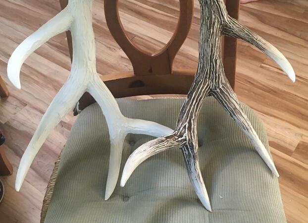 Elk antlers before and after color wash Elk antlers before and after color wash