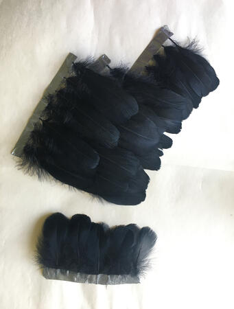 Process of making feather trimming