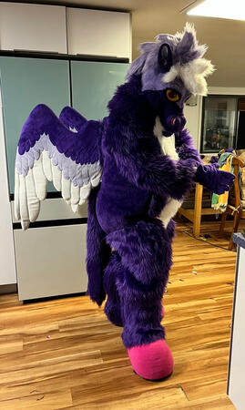 Equuinoxxx Commission Equuinoxxx Commission