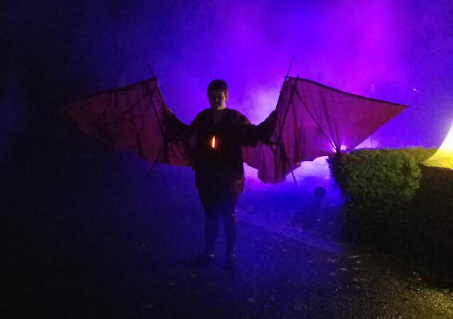 Extendable wyvern wings made from fabric and wood Extendable wyvern wings made from fabric and wood